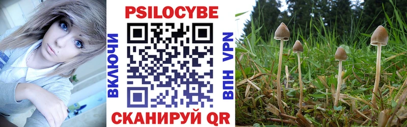 Псилоцибиновые грибы GOLDEN TEACHER Горняк
